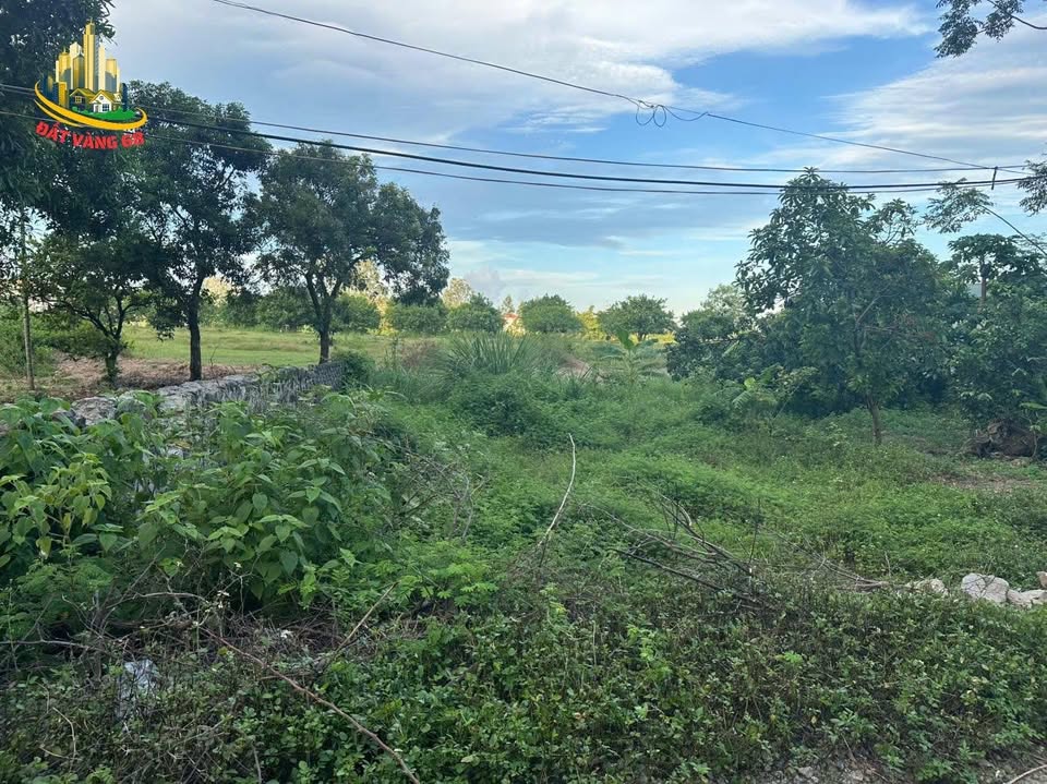 Đất Ninh Hòa 100m2 mặt tiền 9m, ô tô tận đất, giá nhỉnh 2 tỷ