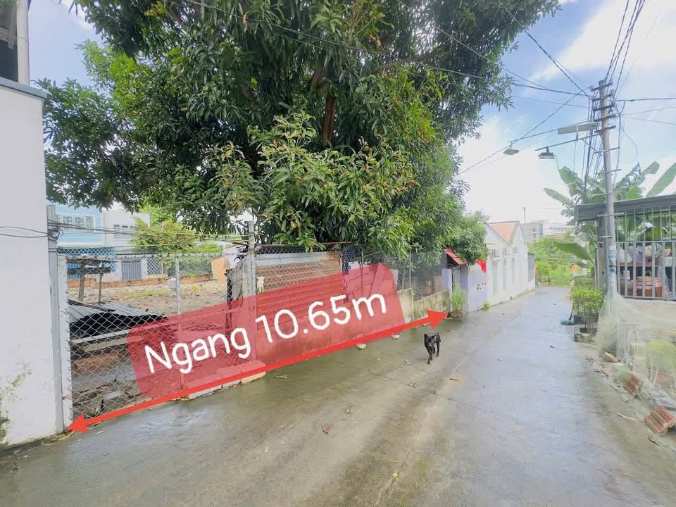 Đất Vĩnh Ngọc 2 mặt tiền, vừa ở vừa chơi, giá hời