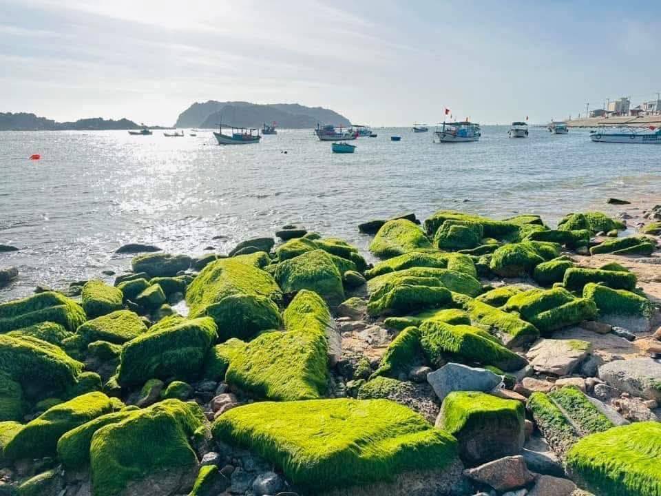 Bán nhà mặt tiền biển Nhơn Hải, Quy Nhơn - Vị trí đẹp, sinh lời cao