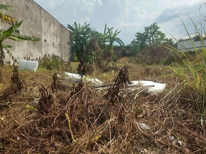 Đất hẻm xe hơi phường 8, Bến Tre - Đầu tư sinh lời ngay