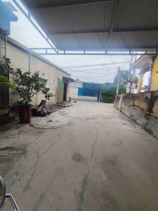 Cần tiền gấp, chủ nhà gửi bán nhanh mảnh đất vàng tại Huyện Kiến Thụy, Thành phố Hải Phòng