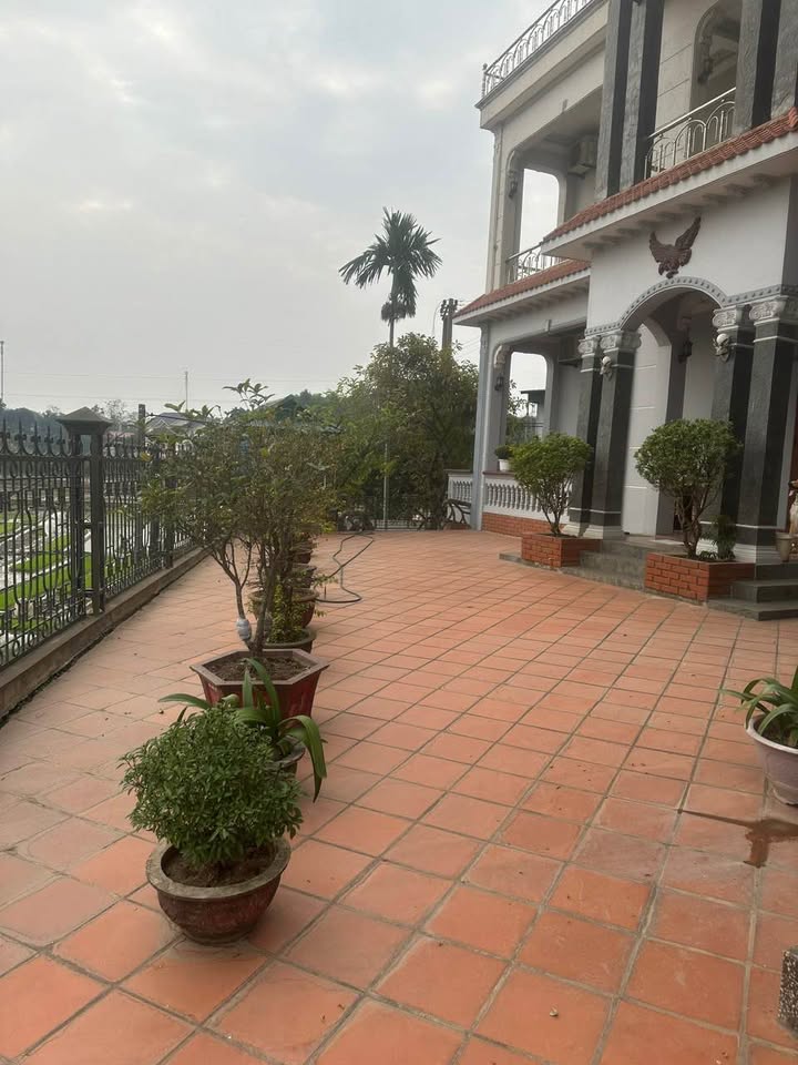 Biệt thự lô góc view hồ đắc địa, 442m2 nở hậu tại Việt Trì