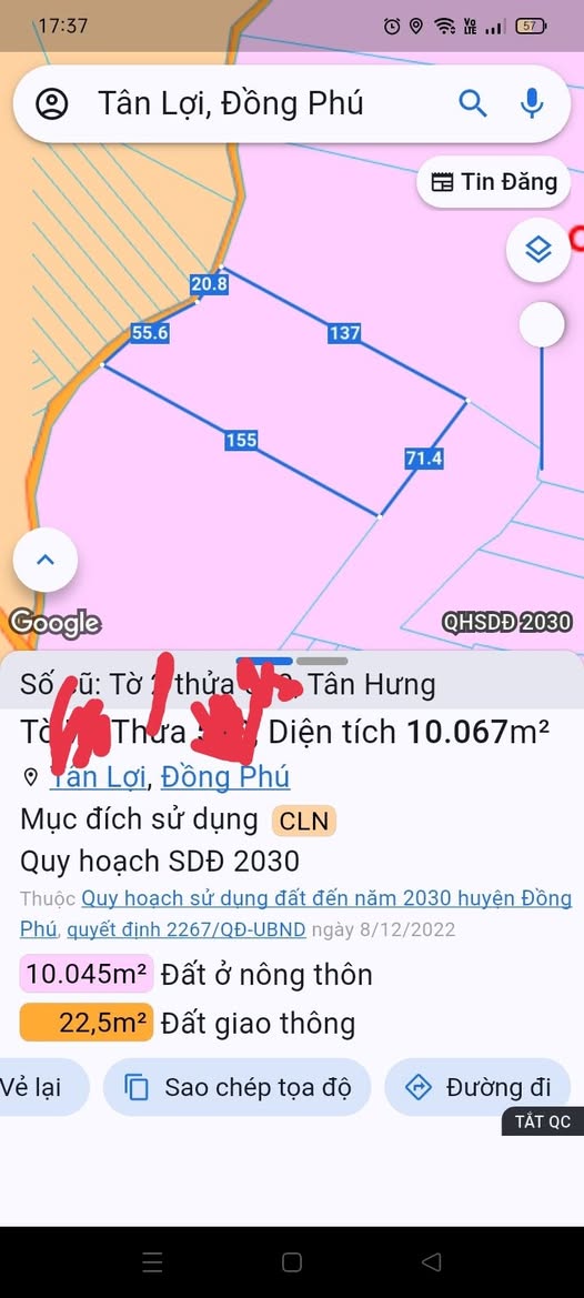 Đất vàng 1ha full hồng, trồng điều xanh mướt - Giá Chỉ 2.2 tỷ