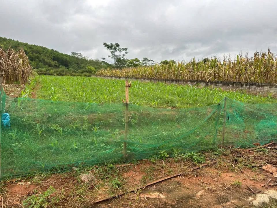 Đất vàng Văn Phú - 2 mặt tiền, giá hời cho nhà đầu tư