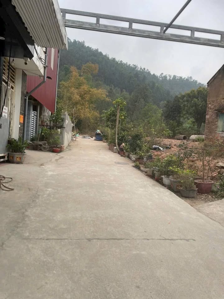 Đất Lãm Trại - Bắc Ninh 79m² mặt tiền 4.6m, gần KCN, ô tô tránh, giá iu thương