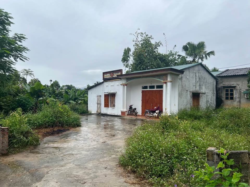 Nhà lô góc 700m2 Thôn 1 Lưỡng Vượng - Ô tô vào tận sân, giá chỉ 1 tỷ