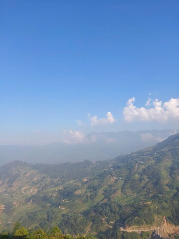 Đất Sa Pa 1ha - Sổ đỏ sẵn sàng, giá yêu thương chỉ 4 tỷ