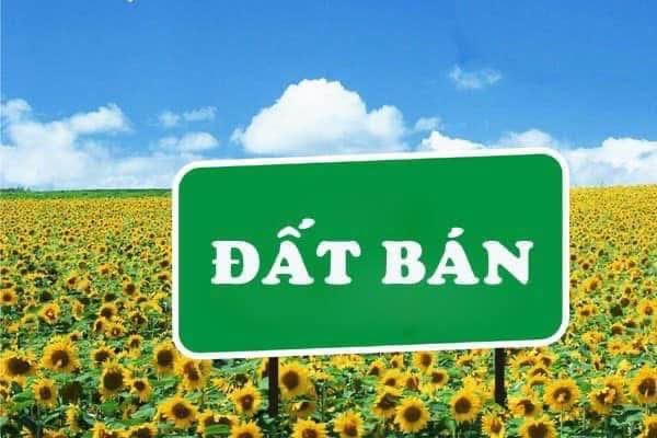 Đất vàng Yên Lộc 197m2, mặt tiền 6.4m, ngõ ô tô tránh, giá hời