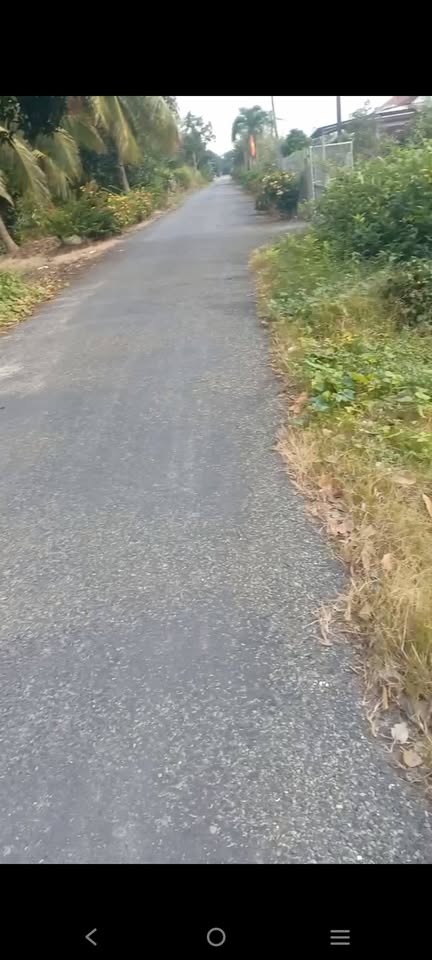 Đất vàng Tháp Mười - Sổ hồng sẵn sàng, vị trí đắc địa