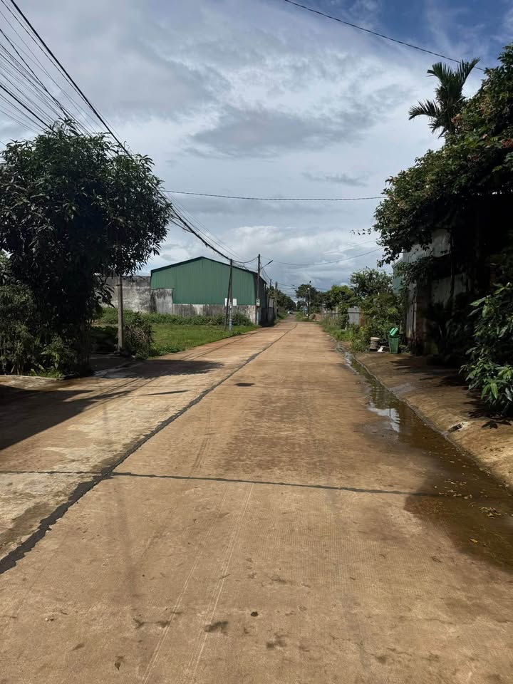 Đất vàng hẻm Chu Mạnh Trinh, 3 ô tô né nhau, giá hời, sổ đỏ trao tay