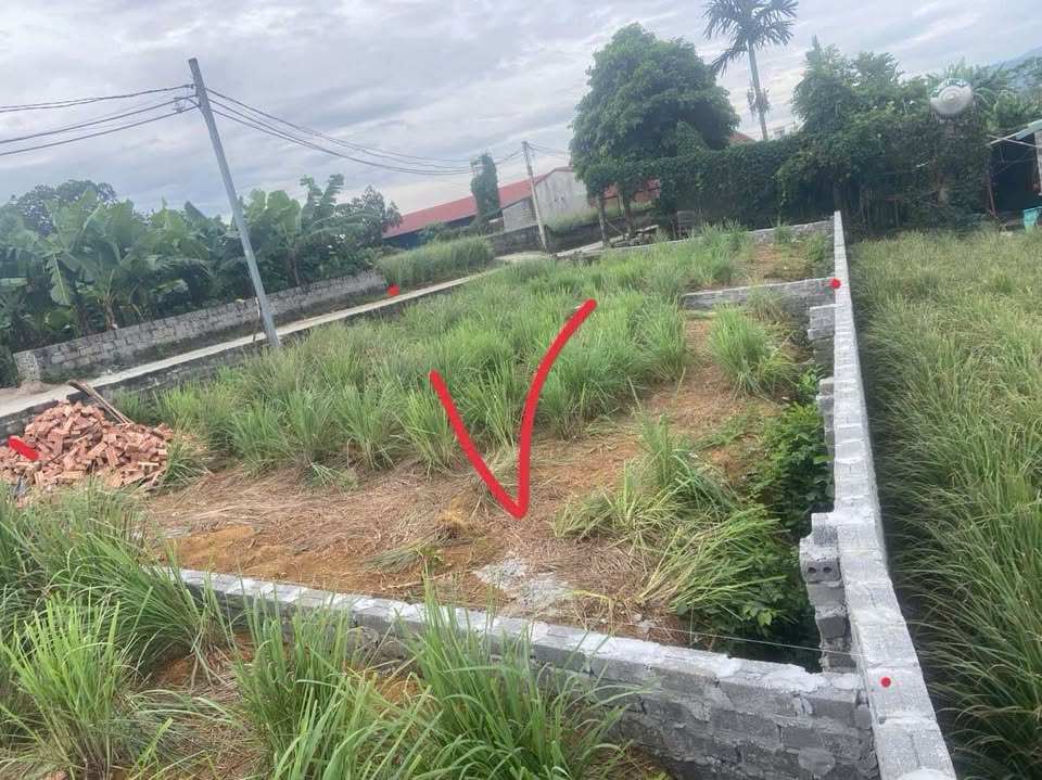 Đất Hòa Thạch - Quốc Oai 100m2 full thổ cư, ô tô đỗ tận nơi, giá nhỉnh 1,9 tỷ