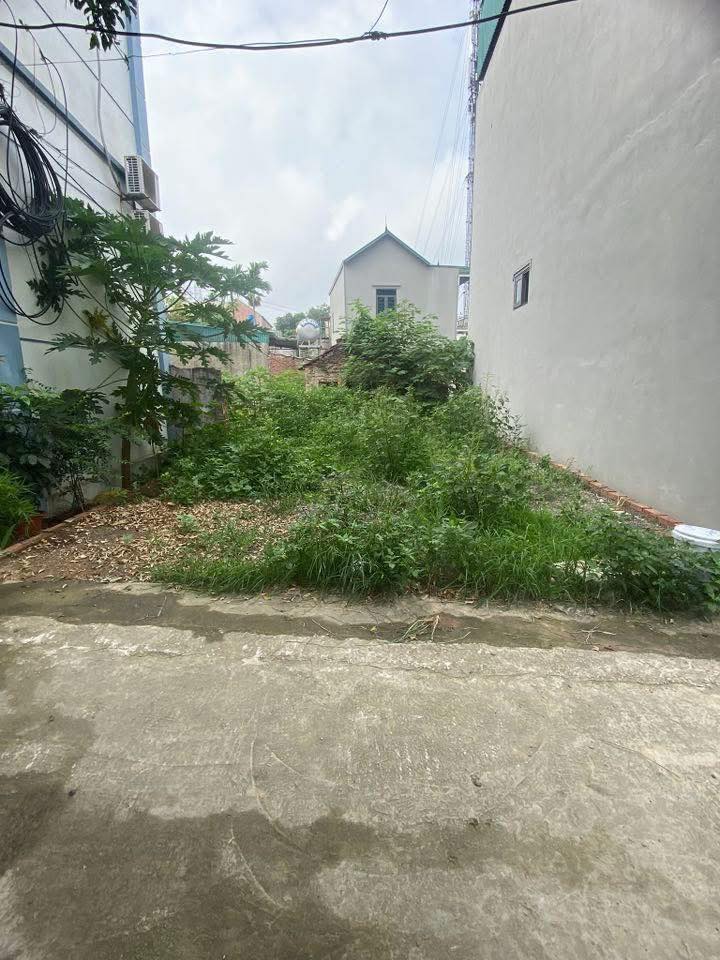 Đất trung tâm xã Phú Nghĩa, Chương Mỹ, Hà Nội, diện tích 61.3m2, mặt tiền hơn 5m, nở hậu, giá 2 tỷ