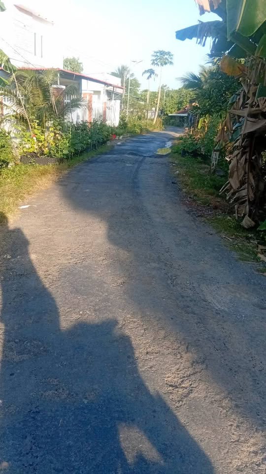 Siêu phẩm đất vườn xoài siêu rộng 1.445m2 tại Vườn Xoài, Phường Cao Lãnh