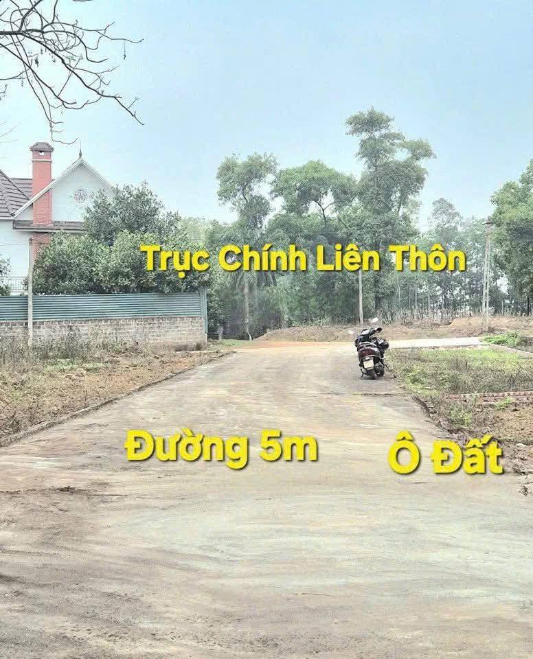 Đất Kim Long giá bèo - Chỉ hơn 500 triệu, nở hậu phát tài