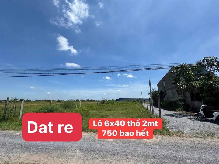 Mảnh đất vuông vắn 240m2 tại Đức Hòa, Long An, sổ hồng riêng, sẵn sàng xây dựng