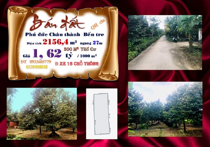 Bán đất vườn sầu riêng 2156m² tại Châu Thành, Bến Tre - Mặt tiền rộng, nở hậu