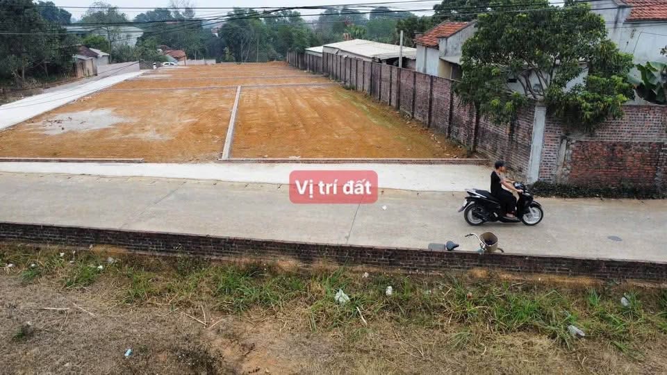 Siêu phẩm đất mặt đường trục chính thôn Vị Nhuế, xã Quảng Oai, thị xã Sơn Tây, thành phố Hà Nội