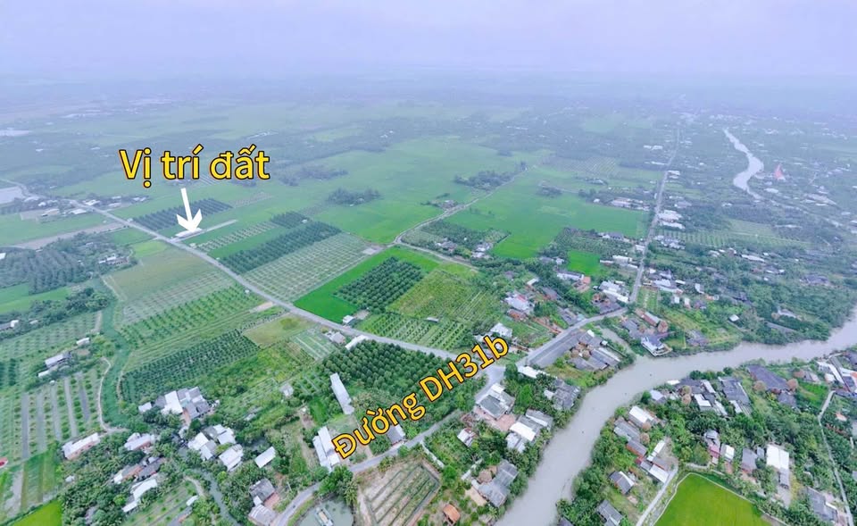 Bán đất công Nhơn Phú, Mang Thít, Vĩnh Long - 2969.1m2