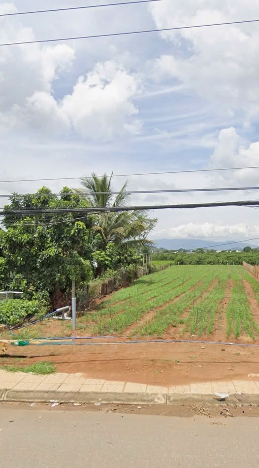 Đất Tân Hội, Lâm Đồng, mặt tiền đường 724, 5m x 45m, giá 2,25 tỷ