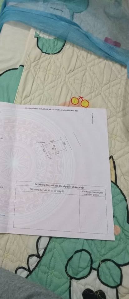 Đất vàng X2 Đông Trù 80m2 mặt tiền 6.6m, cạnh công viên, chợ lớn, cơ hội vàng cho nhà đầu tư