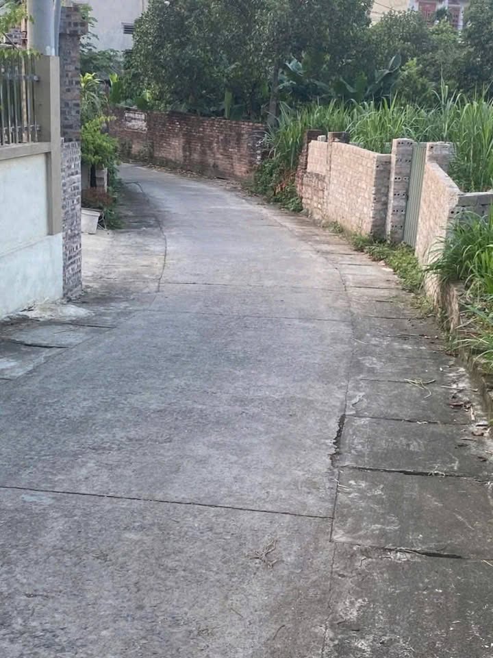 Đất Trung Sơn Trầm, Sơn Tây - Vị trí vàng, ngõ thông, ô tô vào tận đất