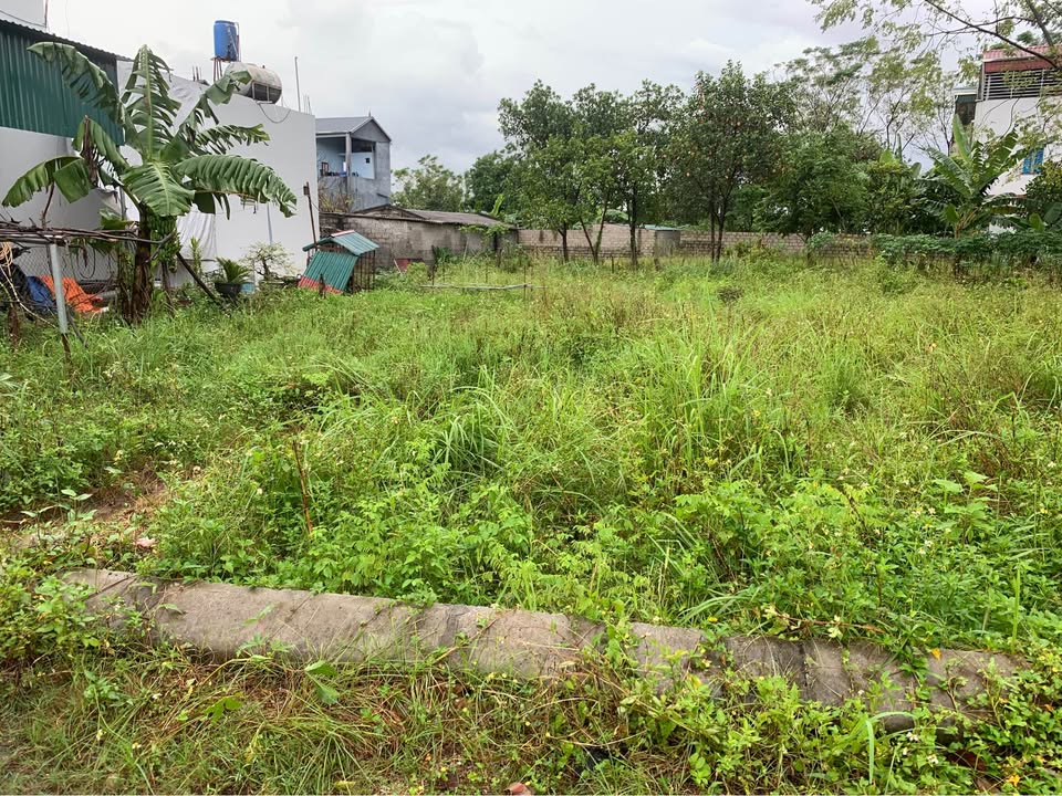 Đất vàng 61.7m2 Ứng Hòa, ô tô tránh, hơn tỷ chốt