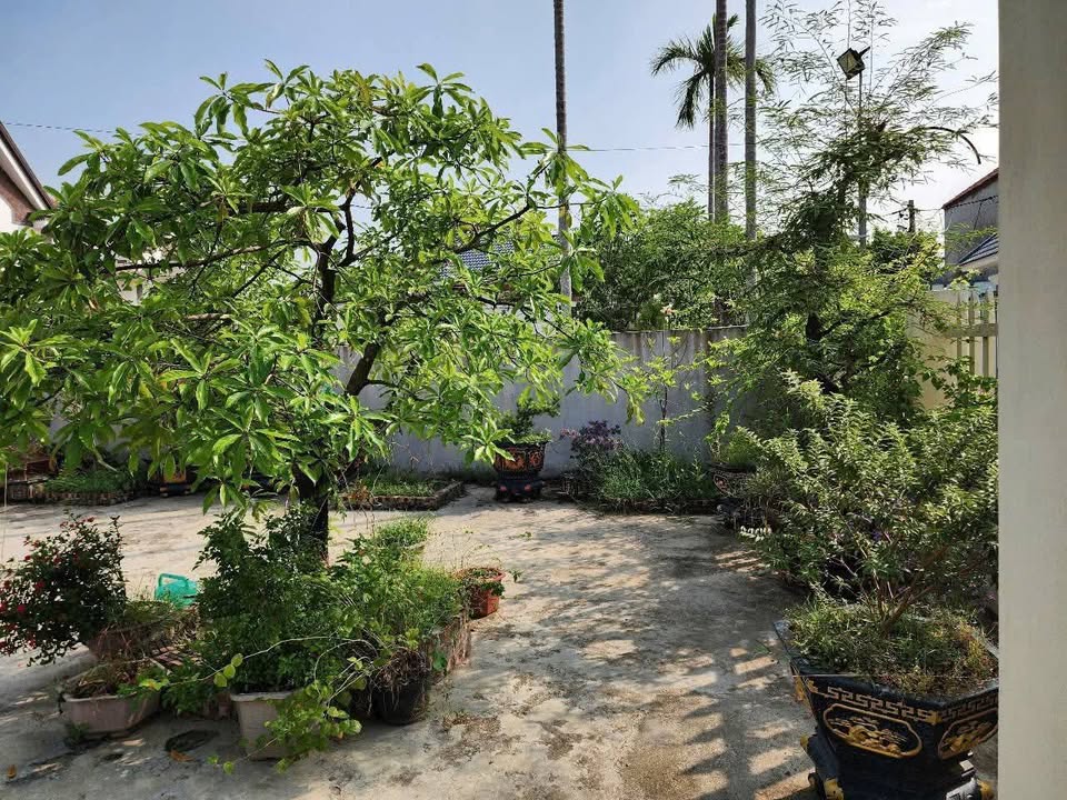 Độc quyền sở hữu không gian sống mơ ước tại Minh Tân, Kiến Thụy, Hải Phòng