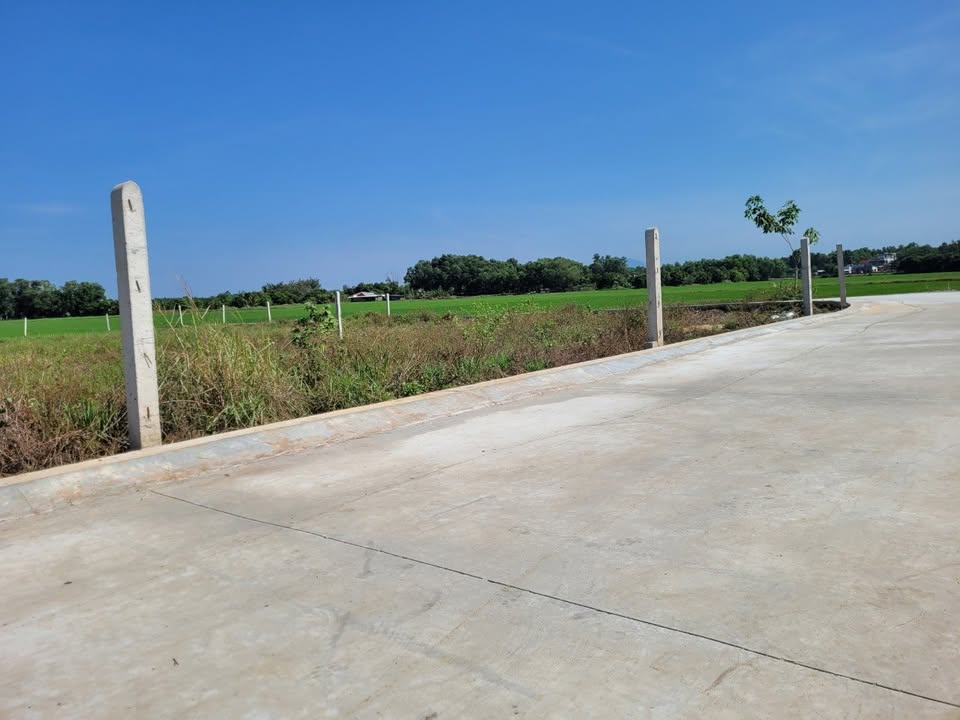 Đất full thổ cư siêu xinh với kích thước ngang 5m, dài 37m, tổng diện tích 185m2