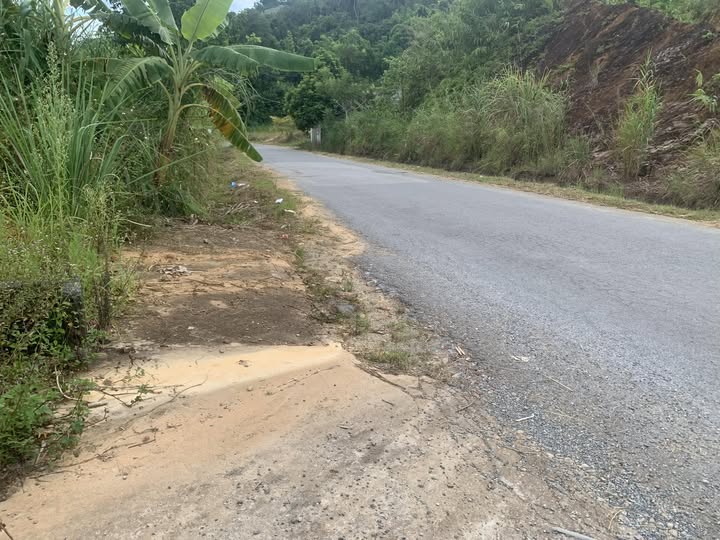 Bán đất thổ cư 100m2, cách cầu Gạc Đì 500m, không ngập lụt