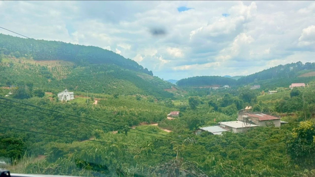 Bán gấp 1000m2 đất nông nghiệp Mê Linh, Lâm Hà, sổ đỏ sẵn sàng, giá hời