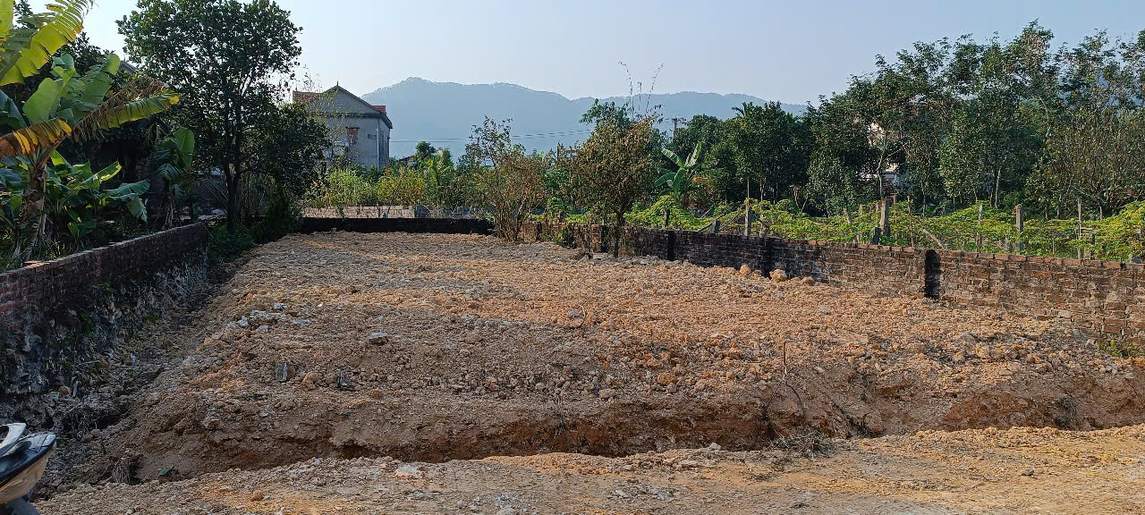 Đất xóm 4 Thanh Hà 200m² xúng xính, giá hời đầu tư