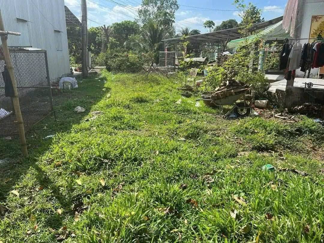 Bán nền 300m2 Rạch Chanh, Thới Long, Cần Thơ - Thích hợp định cư