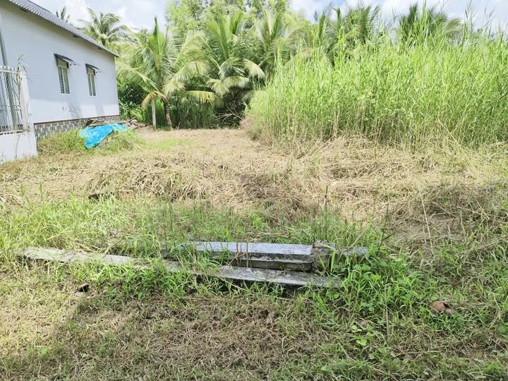 Bán đất 107.9m² tại Sơn Đông, Bến Tre, giá 680 triệu