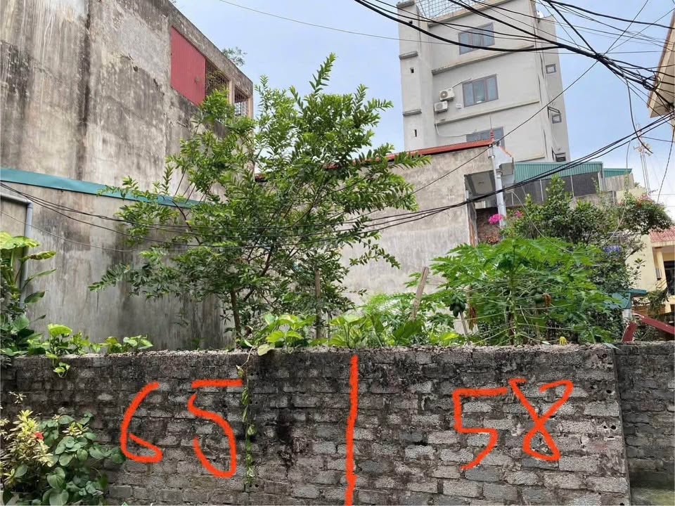 Bán đất thổ cư mặt tiền đường Trần Hưng Đạo, Kim Bảng, Hà Nam, gần bệnh viện Bạch Mai - Việt Đức