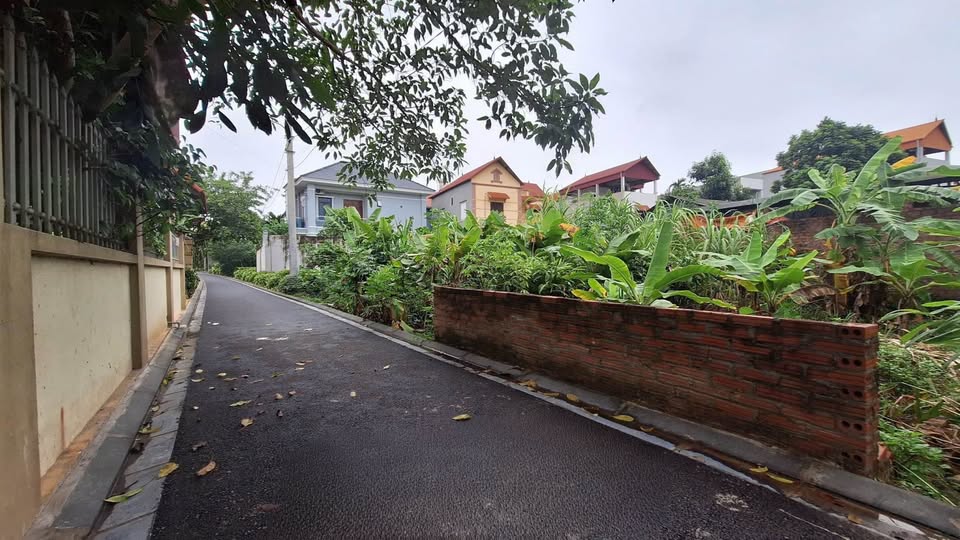 Đất vàng Xuân Nộn, cơ hội đầu tư sinh lời vượt trội, sổ đỏ sạch đẹp