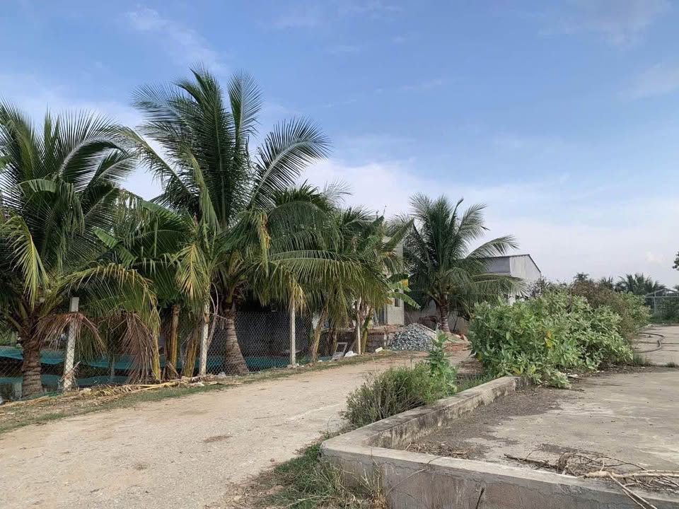 Đất xịn sò, sổ đỏ trao tay, giá hời