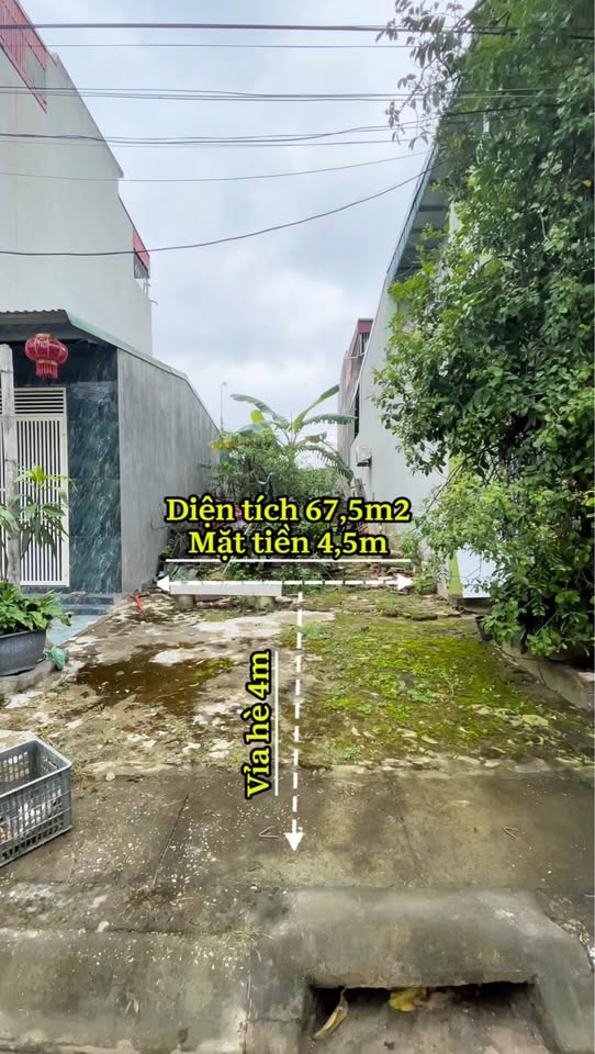 Bán đất mặt tiền 4.5m đường Thành Thái kéo dài, 67.5m², hướng Tây Bắc