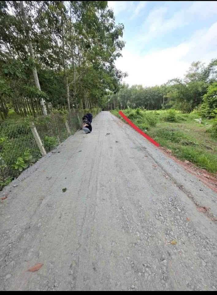 Đất vàng Tây Ninh - Chỉ 230 triệu, thổ cư 100%, đường ô tô tới đất