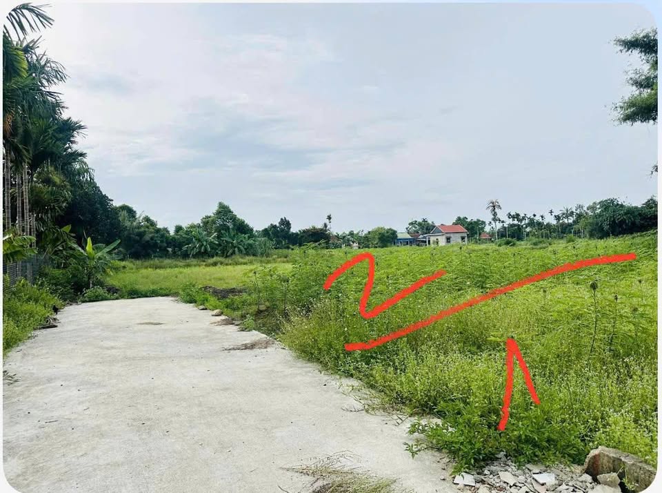 Đất An Đô, Hương Chữ - Giá mềm, vị trí đẹp, chỉ 4xx triệu