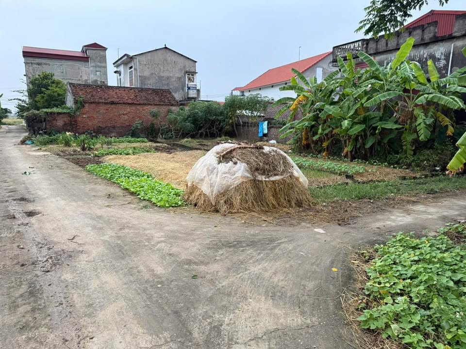 Bán đất Bà Khê, Phú Hòa, Lương Tài, Bắc Ninh, giá hấp dẫn