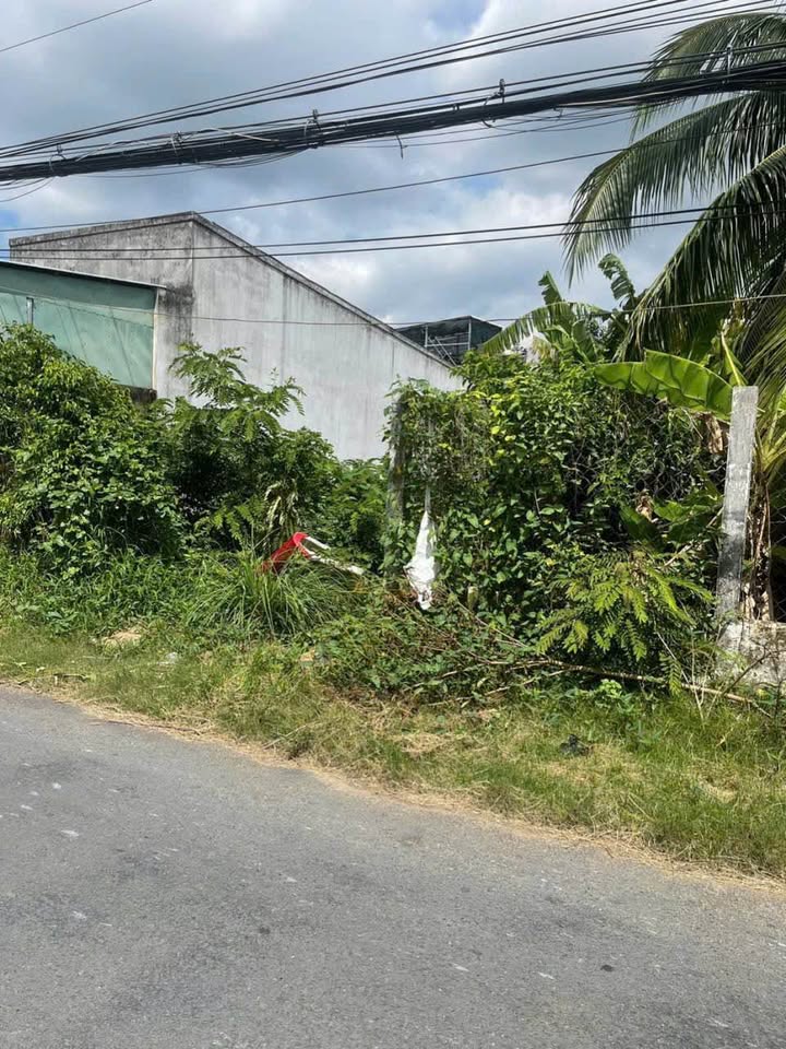 Bán đất mặt tiền lộ nhựa 139,2m2, ngang 6,89m, nở hậu, giá 1,45 tỷ tại Bến Tre