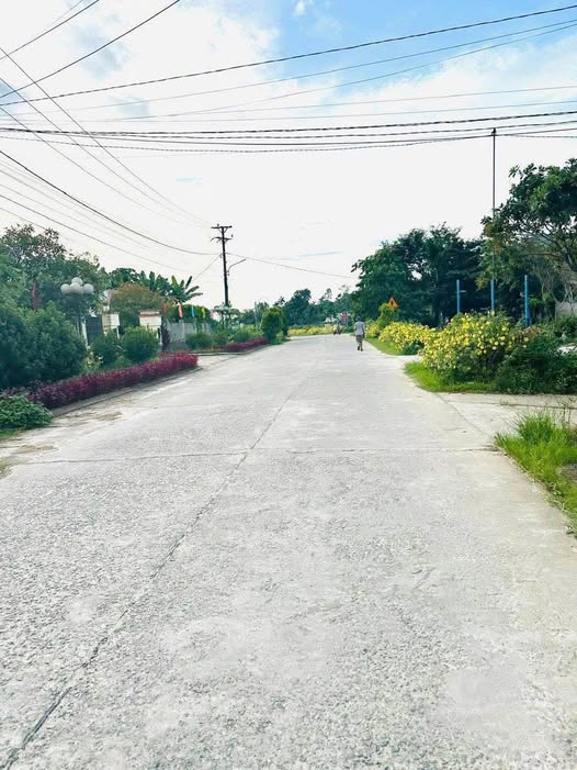 Chính chủ cần bán lô đất mặt tiền đường DH8, xã Tam Thái, tỉnh Quảng Nam