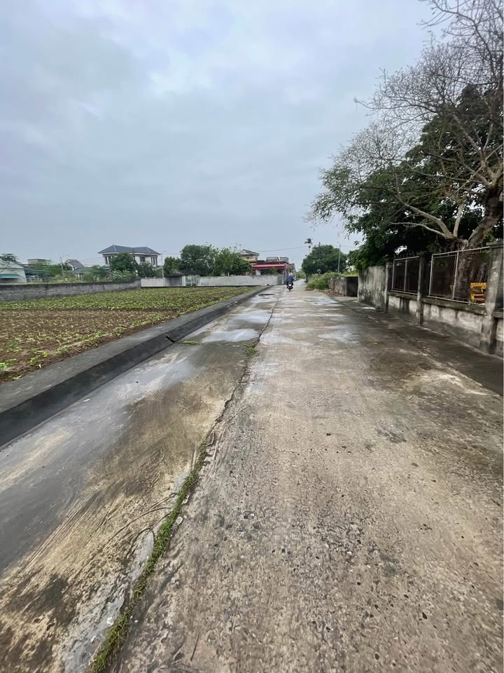 Mảnh đất vàng Nam Thắng, Tiền Hải - Nơi an cư và đầu tư lý tưởng