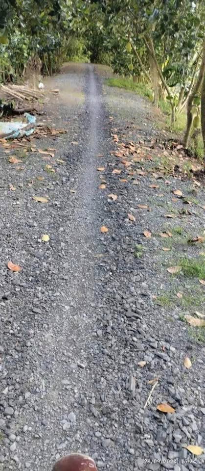 Đất xịn Đồng Tháp, mặt tiền mê ly, giá hời