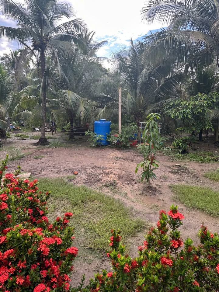 Cơ hội vàng để sở hữu lô đất nền tại phường Phú Tân, Vĩnh Long