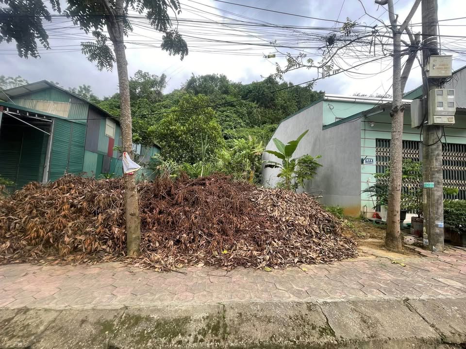 Chào mừng quý vị đến với kho báu tại Duyên Hải, Lào Cai