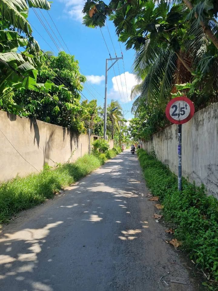 Siêu phẩm đất nền rộng rãi 1072m² (18m x 60m) tọa lạc tại xã Sơn Đông, thành phố Bến Tre