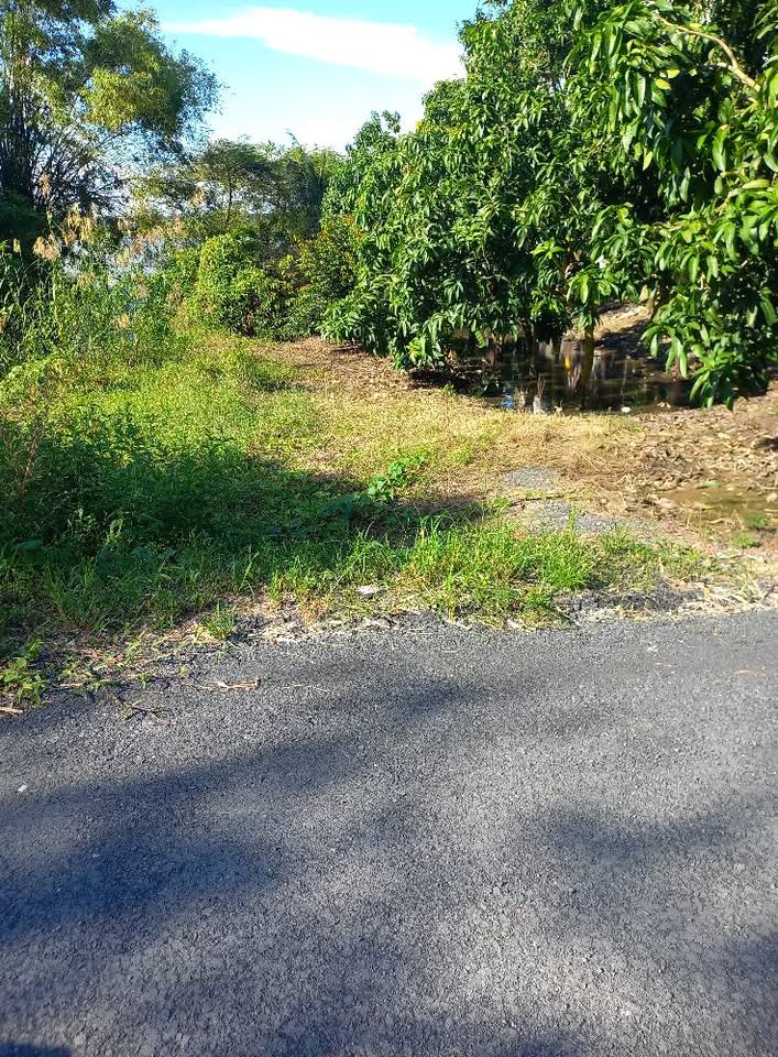 Đất nền Cao Lãnh siêu hot, xe 16 chỗ tới tận nơi