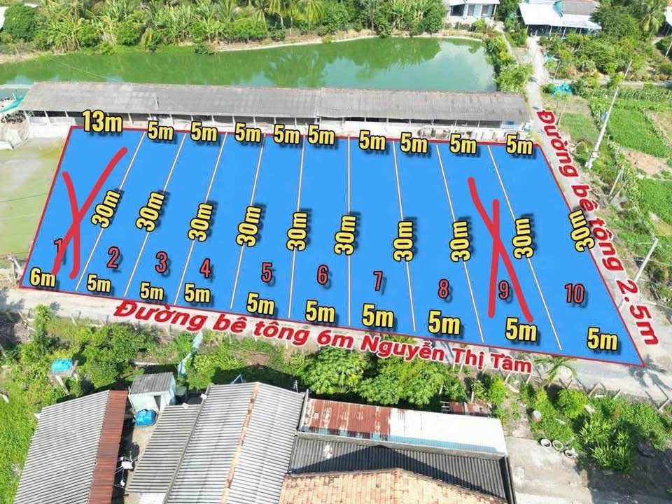 Bán đất thổ cư F0 tại khu dân cư hiện hữu Bình Lãng, huyện Tân Trụ, tỉnh Long An