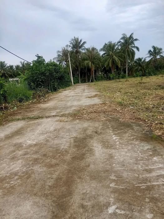 Cần bán các lô đất nền tại xã Phú An, huyện Châu Thành, tỉnh Bến Tre